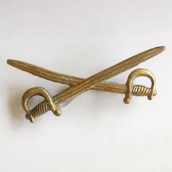 Insigna 65