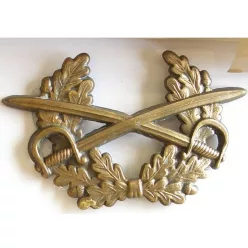 Insigna 68
