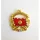 Insigna 89