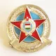 Odznak 100