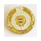 Insigna 104