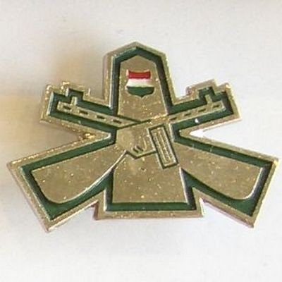 Insignia BORDER GUARD