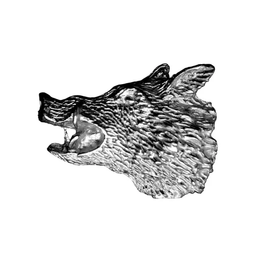 Jagd Abzeichen, Wildschweinkopf