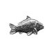 Fisherman pin badge, Carp