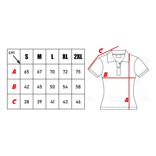 Anvil tricou polo femei, negru/gri