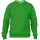 Anvil pullover, apple green S