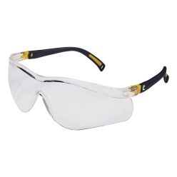 iSpector Fergus spectacles