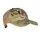 Mil-Tec Trucker baseball cap, Multicam