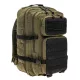 Mil-Tec US Assault tactical bag, olive/black
