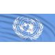 UN flag