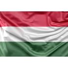 Ungarn Flagge