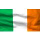 Steag Irlanda