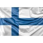 Steag Finlanda