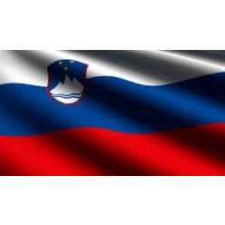 Slovenia flag