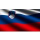 Slovenia flag