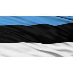 Steag Estonia