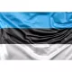 Steag Estonia - 90 x 150 cm