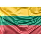 Steag Lituania