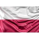 Steag Polonia