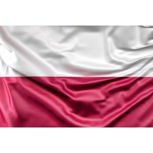 Steag Polonia