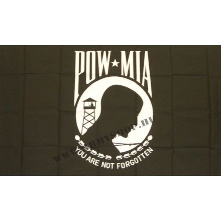 POW-MIA flag