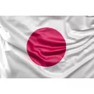 Steag Japonia - 30 x 45 cm