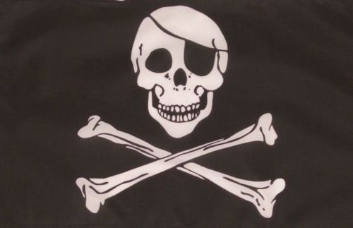 Skull flag