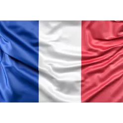 France flag - 30x45cm