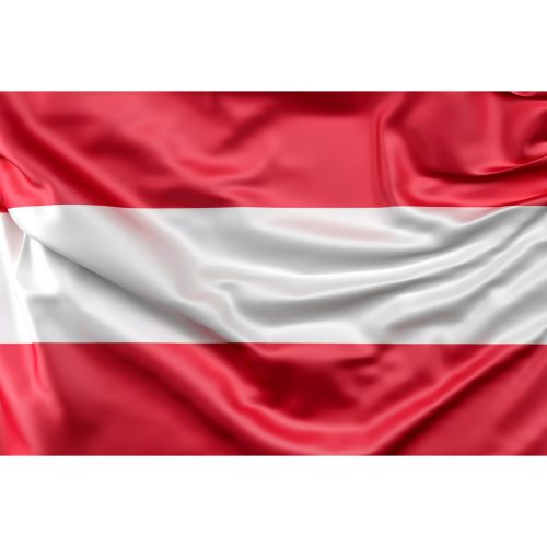 Steag Austria - 30 x 45 cm