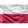 Steag Polonia