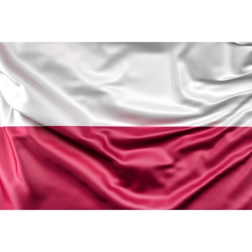 Steag Polonia