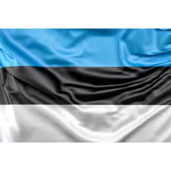 Steag Estonia - 30 x 45 cm
