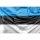 Steag Estonia