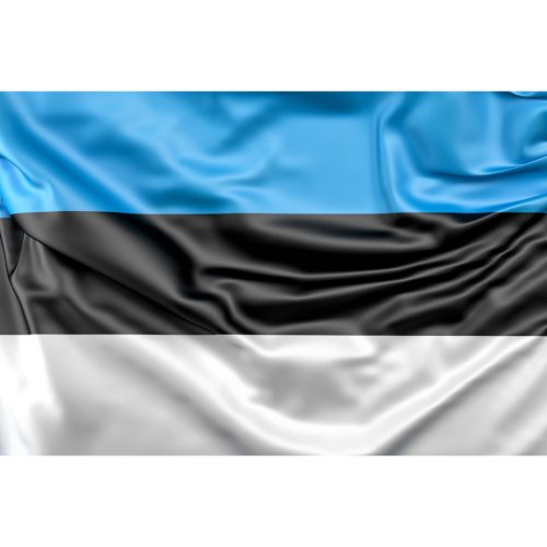 Steag Estonia