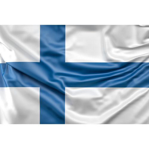 Steag Finlanda