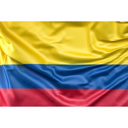 Steag Columbia