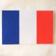 France flag Sticker